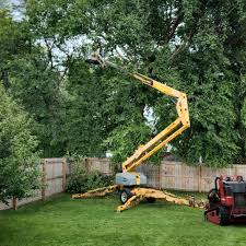 Best Hazardous Tree Removal  in Elma Center, NY